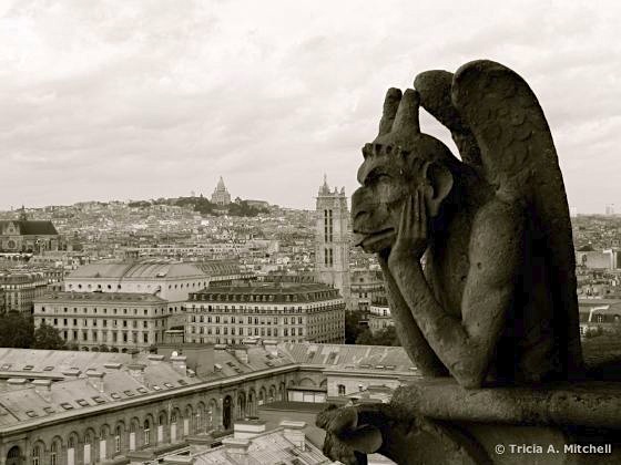 Why are there gargoyles in the Notre Dame cathedral?