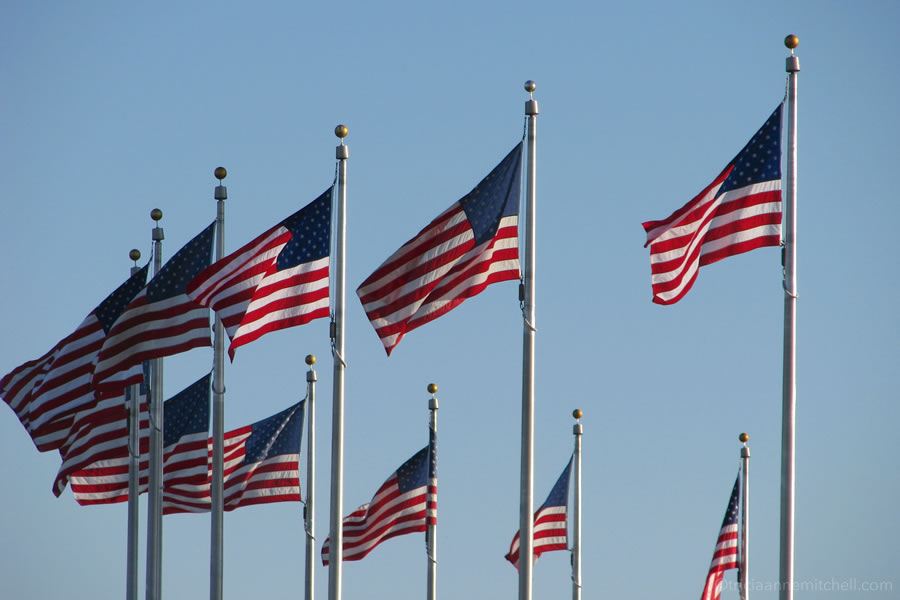American flags Washington D.C.