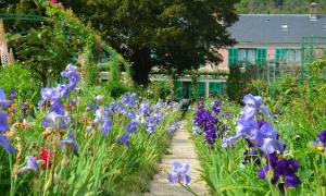 Claude Monet's pink home, surrounded by purple irises and other flowers. It's located in Giverny, France.