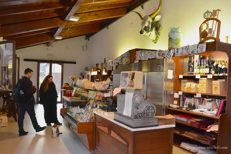 Hombre Parmigiano Reggiano Modena Italy Shop