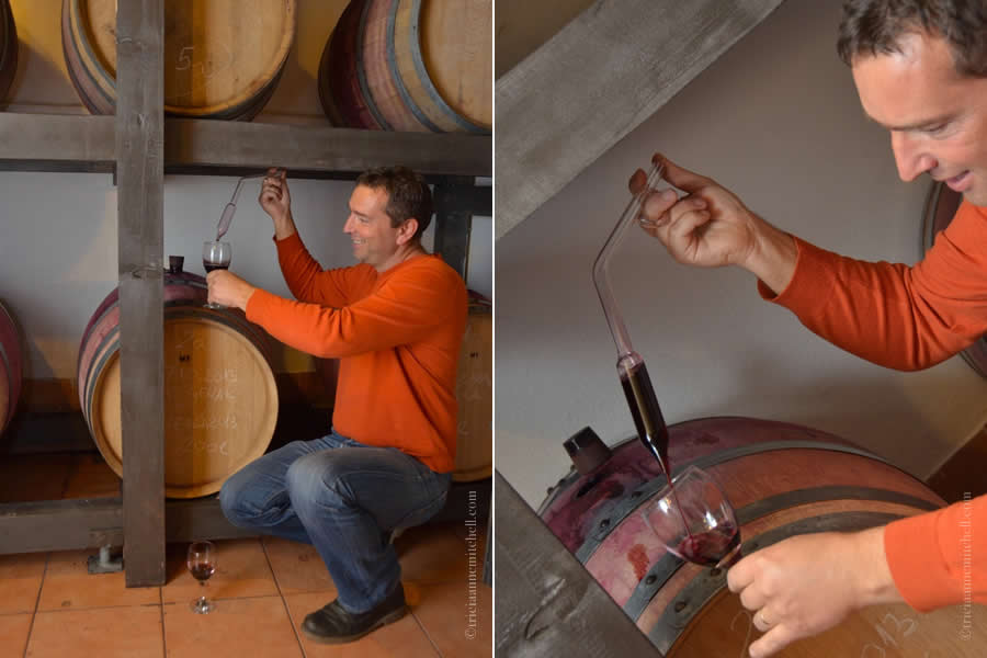 Anton Kovac Kastela winemaker