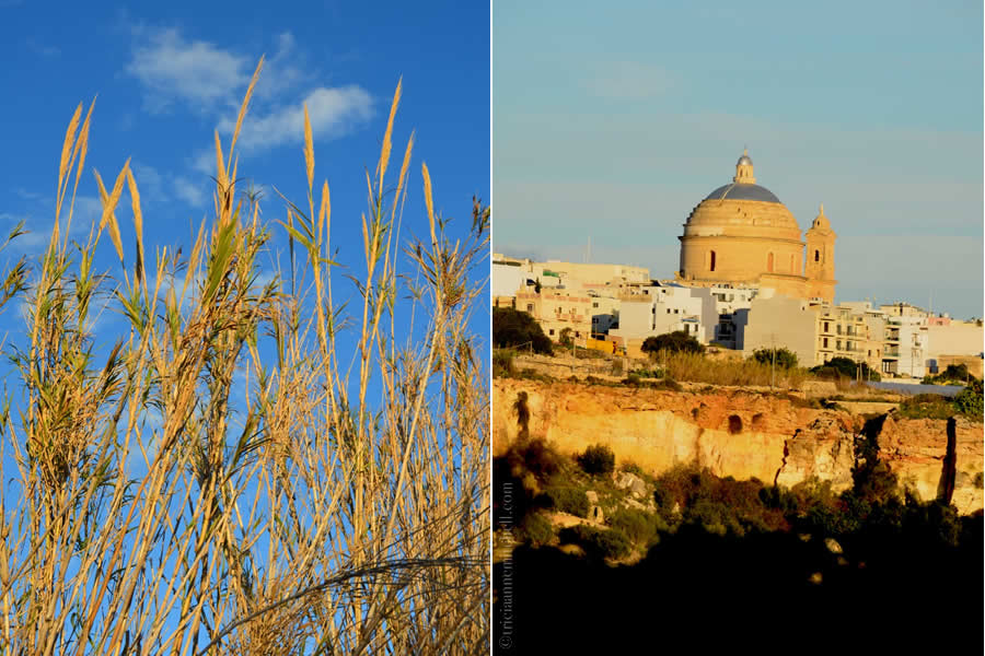 Maltese Countryside and Mgarr Church Dome