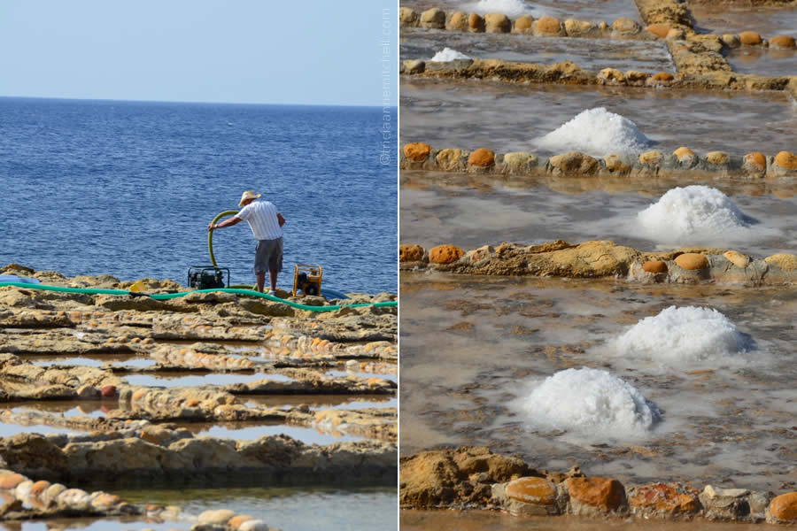 Sea Salt Harvesting Gozo Malta